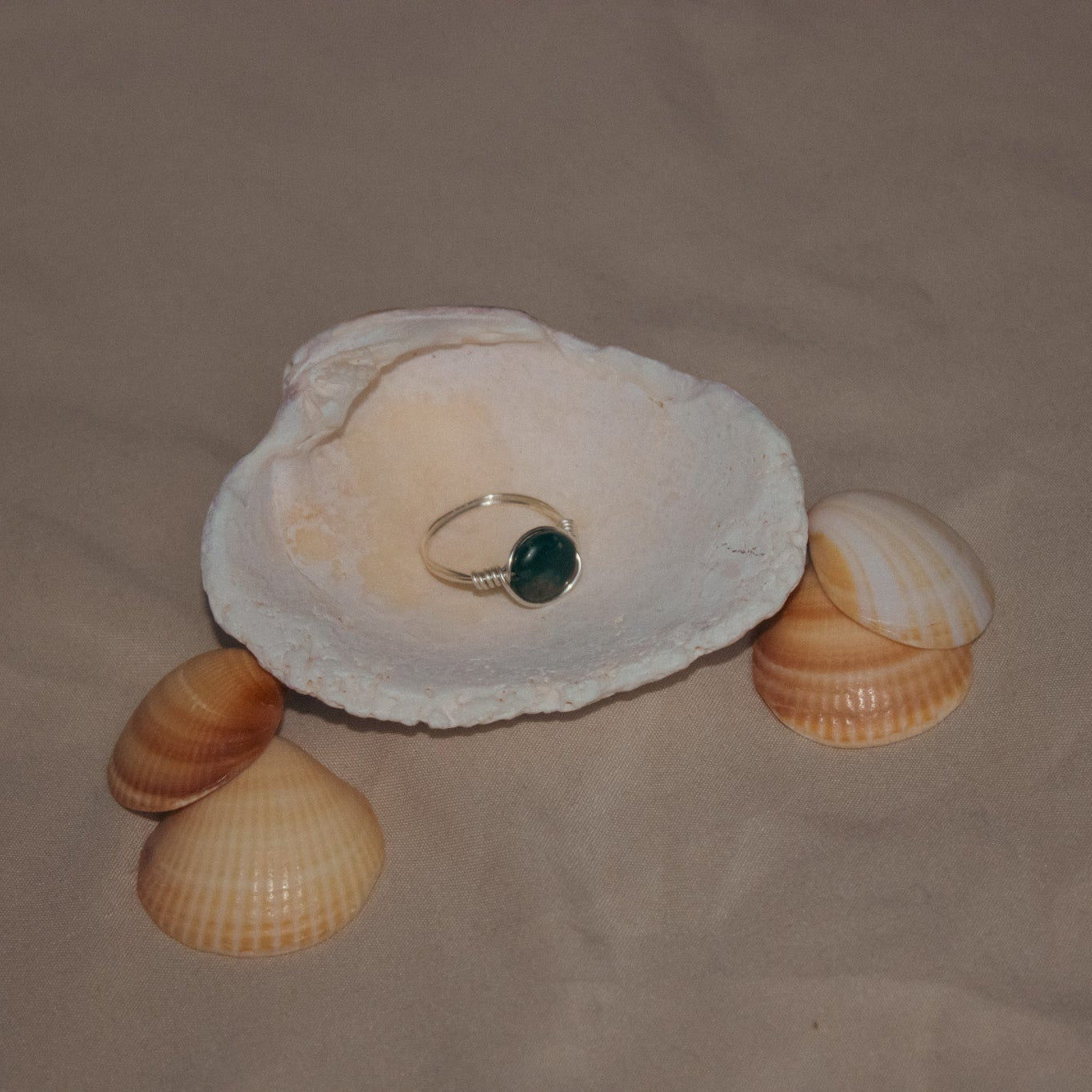 Shell with a ring inside on a beige background