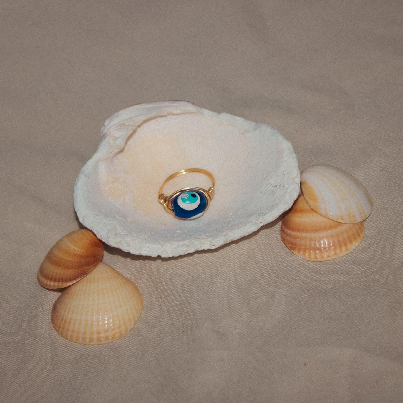 Shell with a ring inside on a beige background