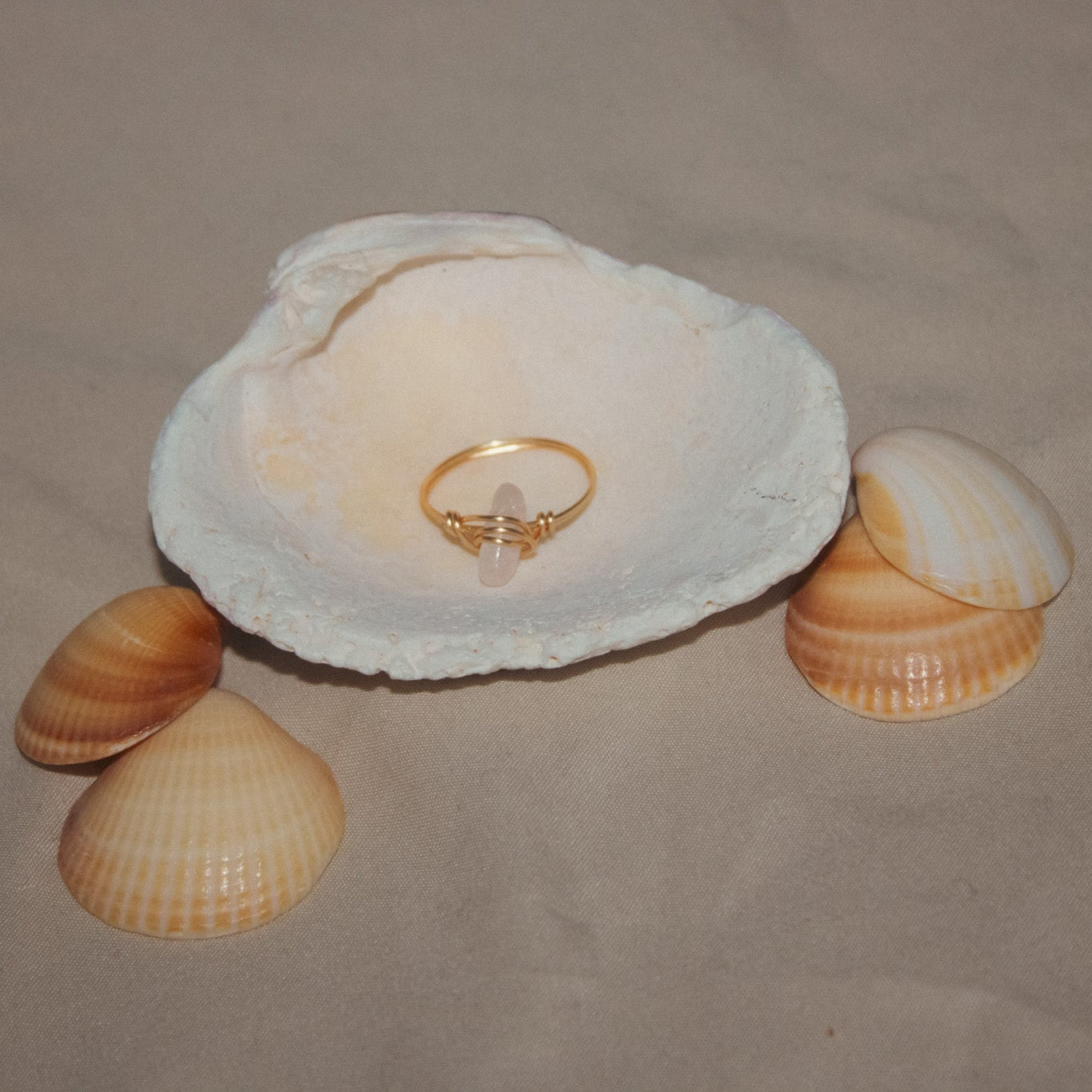 Ring inside a shell with three seashells on a beige background