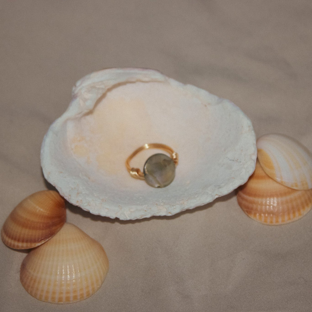 Ring inside a large shell with smaller shells around on a sandy background