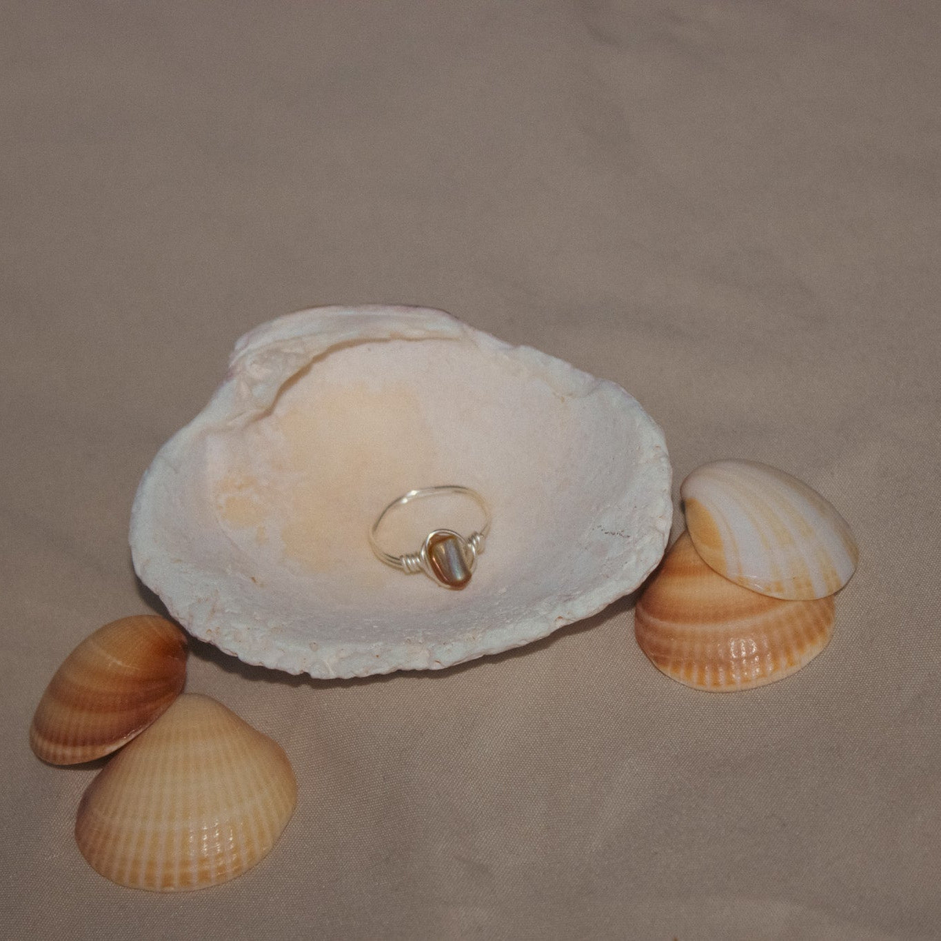 Ring inside a shell with additional shells on a beige background