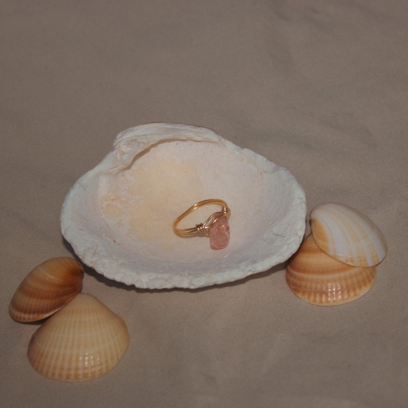 Ring inside a shell with additional shells on a beige background