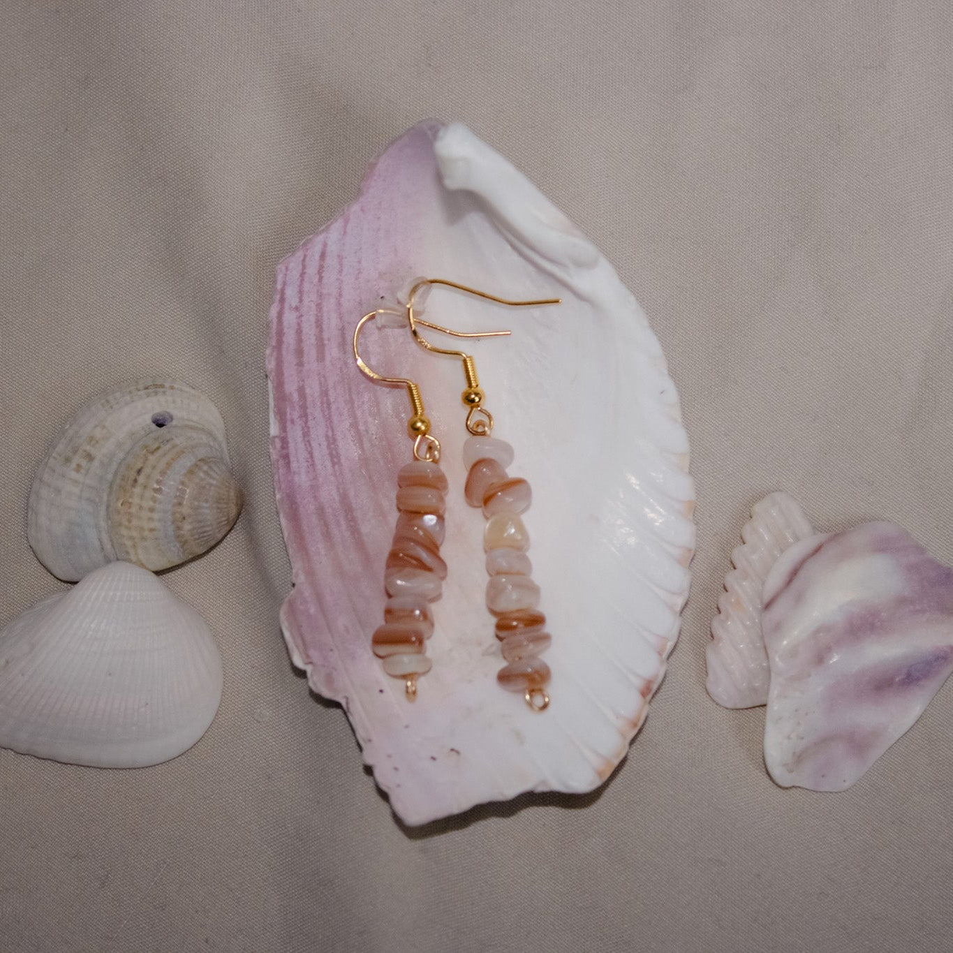 Shell with striped earrings on a beige background